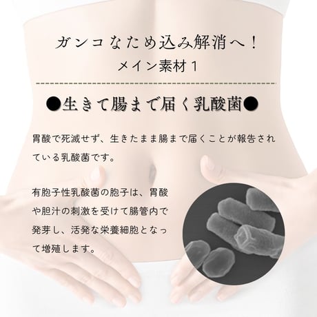 De.LLuCHAstrong（デ・ルー茶ストロング）