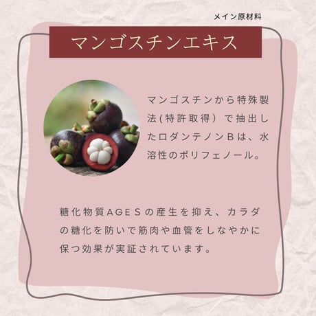 Tohtos（トートス）