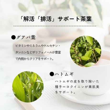 SALA（サラ）