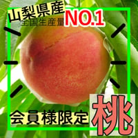 【会員様限定・数量限定】もも / 特別価格 / 送料無料 / 税込
