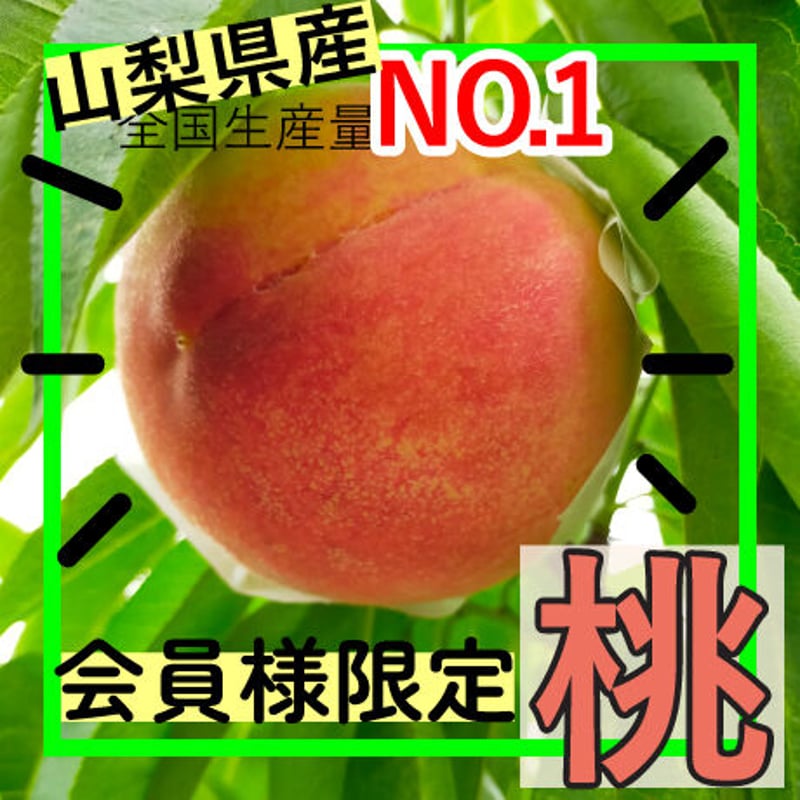 会員様限定・数量限定】もも / 特別価格 / 送料無料 / 税込 | mfarm