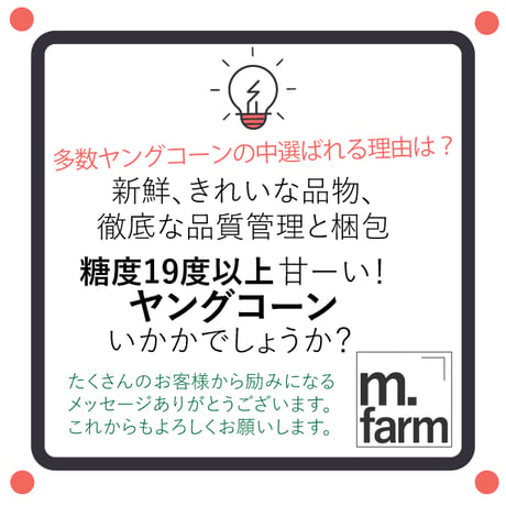 約4kg以上（40本以上）⚠️ヤングコーン✳️朝採り限定☀️⭐️