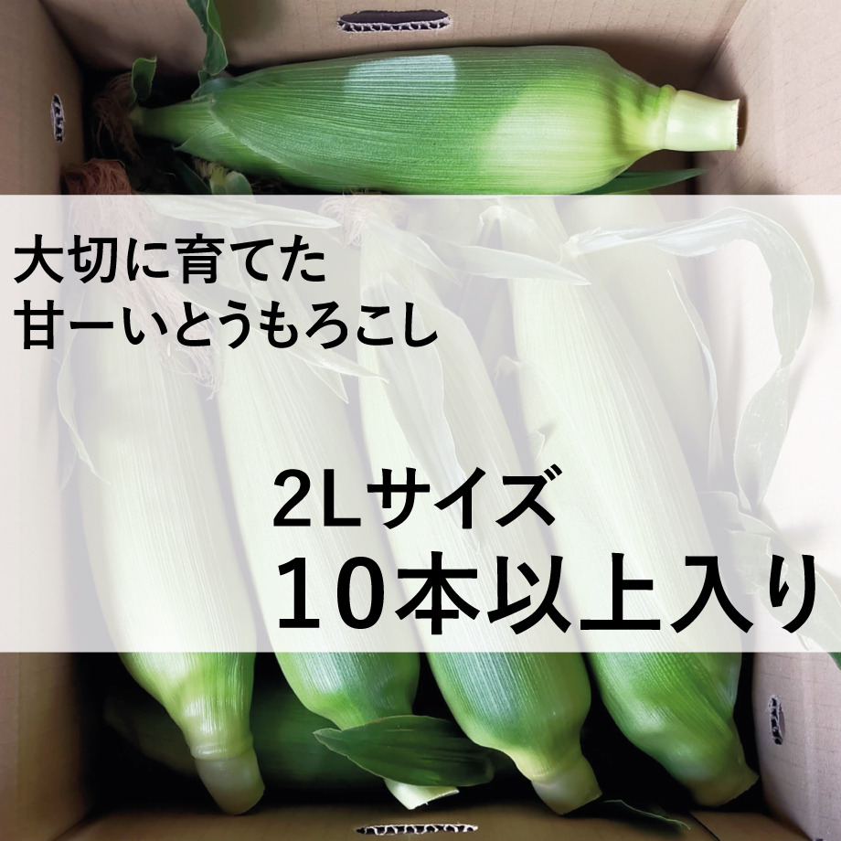 6296fcf29705652ca51debbd