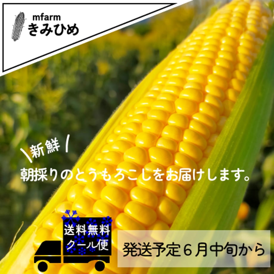 6296fcf29705652ca51debbd