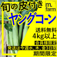 約4kg以上（40本以上）⚠️ヤングコーン✳️朝採り限定☀️⭐️