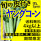 約4kg以上（40本以上）⚠️ヤングコーン✳️朝採り限定☀️⭐️