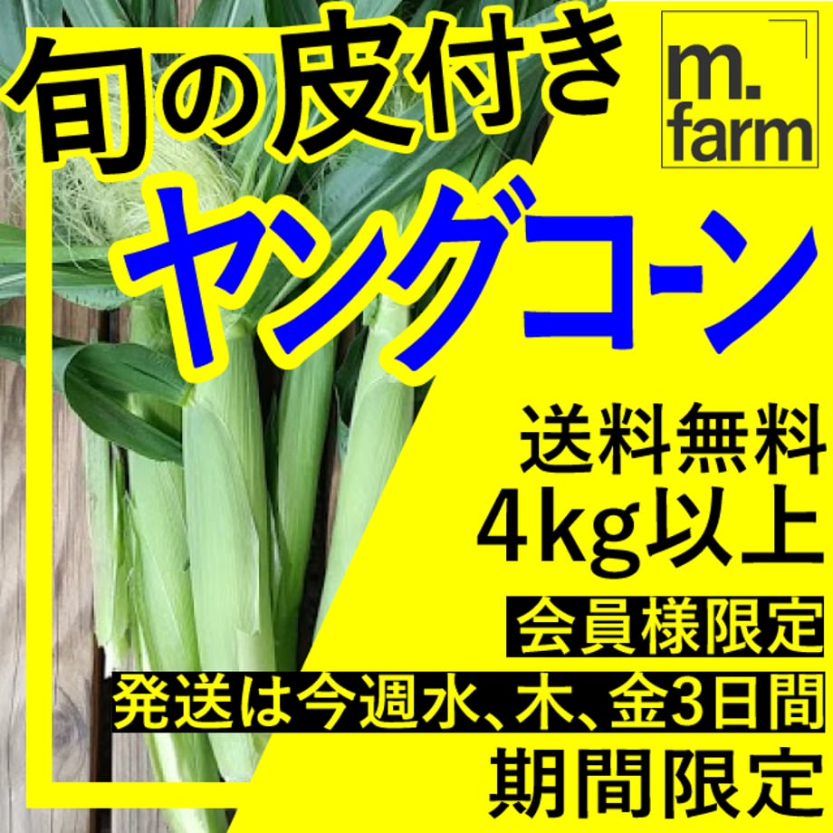 645cde7af325fc002b03df4e