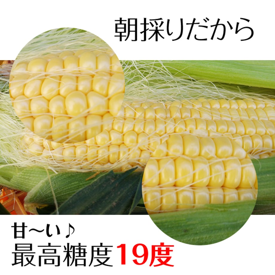 6296fcf29705652ca51debbd