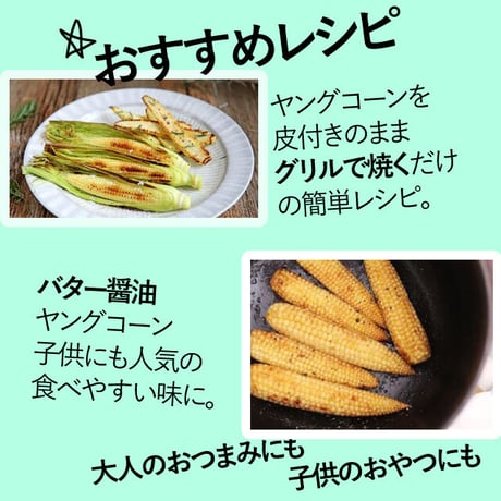 約4kg以上（40本以上）⚠️ヤングコーン✳️朝採り限定☀️⭐️
