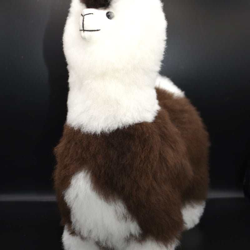 ベビーアルパカ純毛人形 30cm | 八ヶ岳アルパカ牧場 STORE