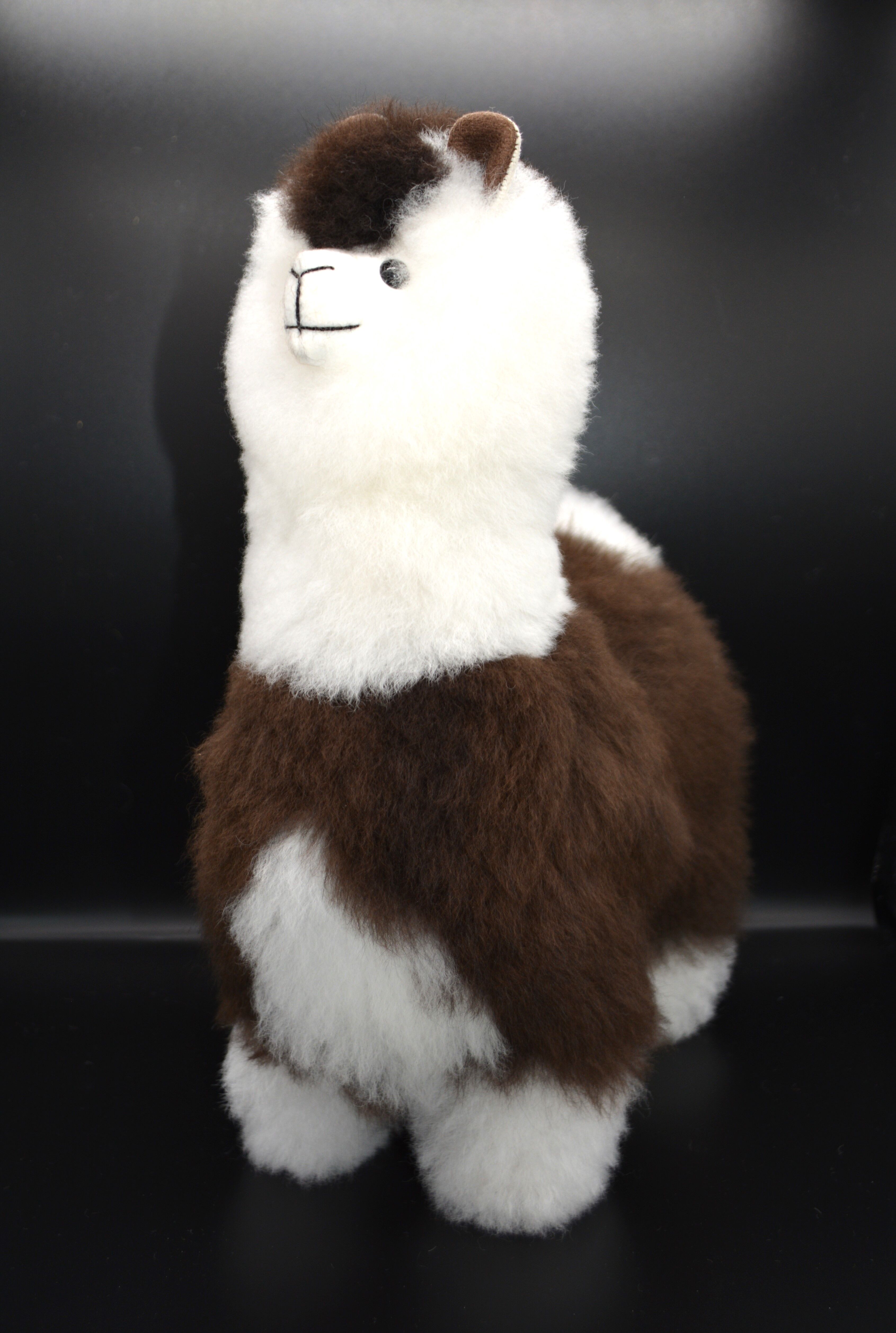 ベビーアルパカ純毛人形 30cm | 八ヶ岳アルパカ牧場 STORE