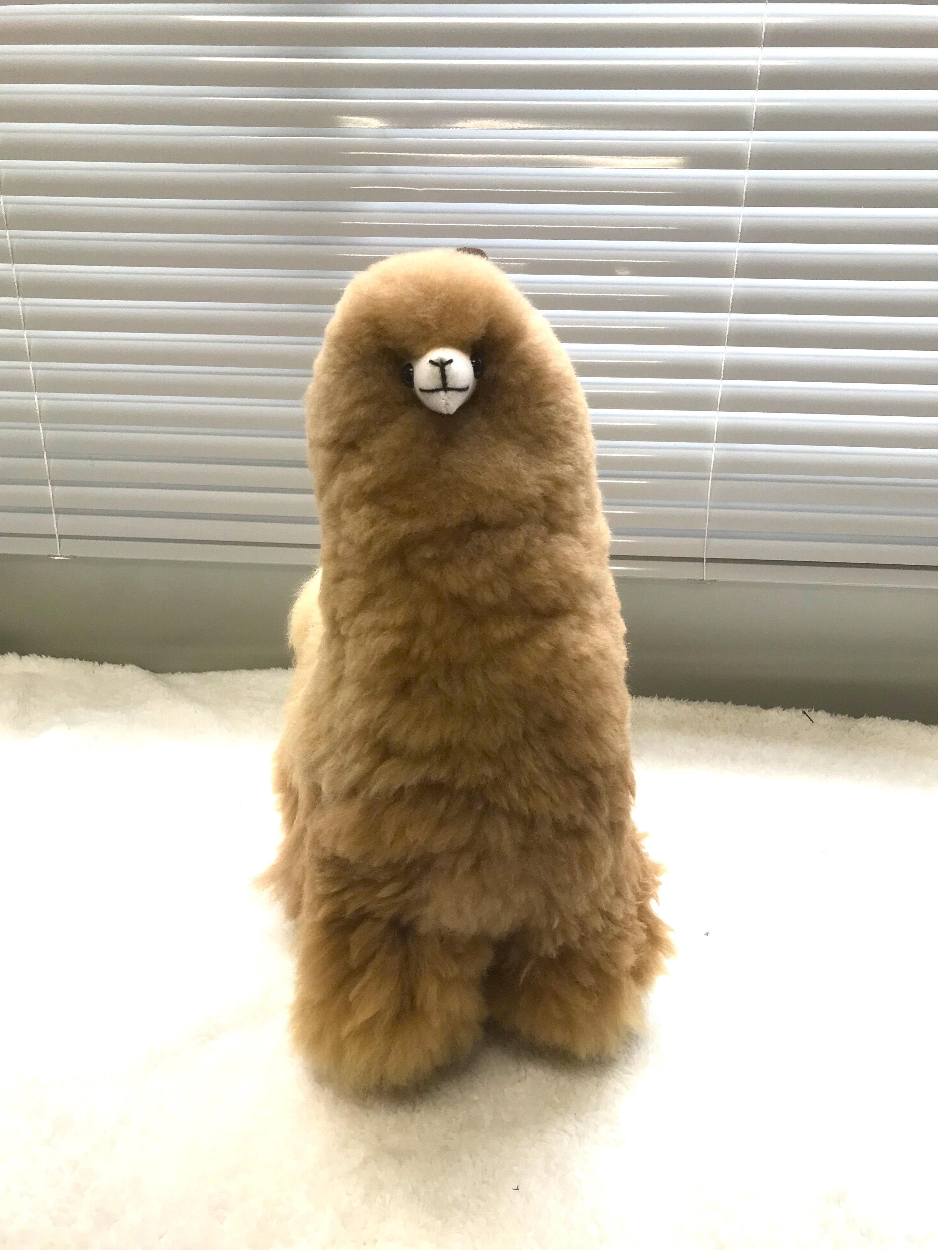 アルパカ純毛人形 40cm | 八ヶ岳アルパカ牧場 STORE