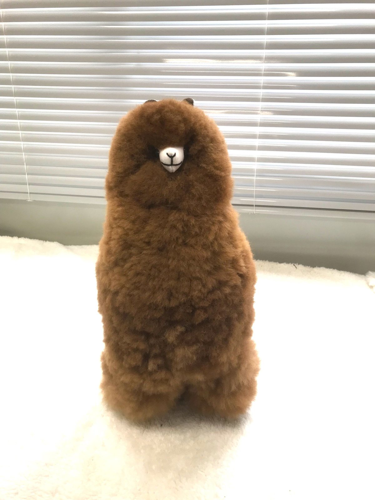 アルパカ純毛人形 40cm | 八ヶ岳アルパカ牧場 STORE