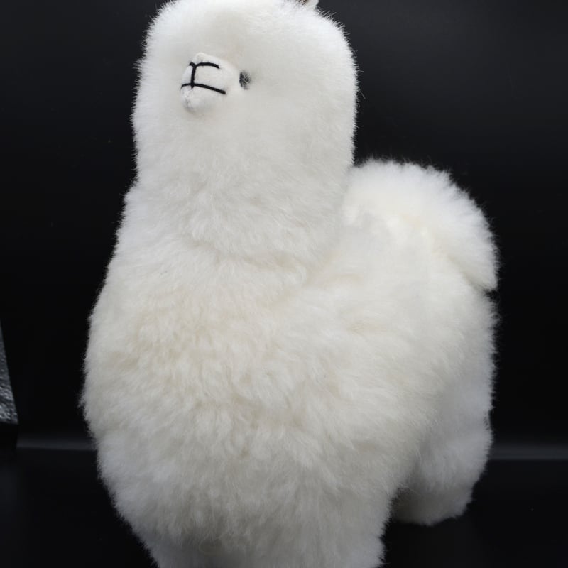 ベビーアルパカ純毛人形 30cm | 八ヶ岳アルパカ牧場 STORE