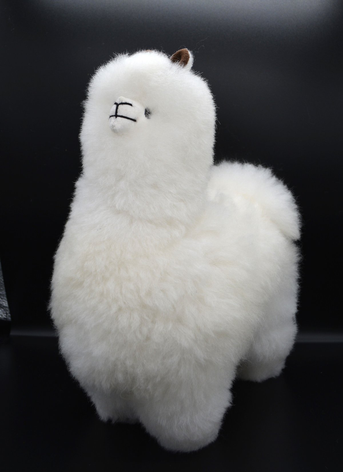 ベビーアルパカ純毛人形 30cm | 八ヶ岳アルパカ牧場 STORE