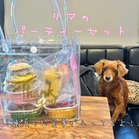 リマのパーティーセット