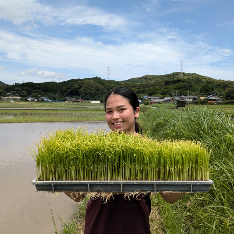 令和7年産 新米 自然共生サイト米 2025 New Harvest 