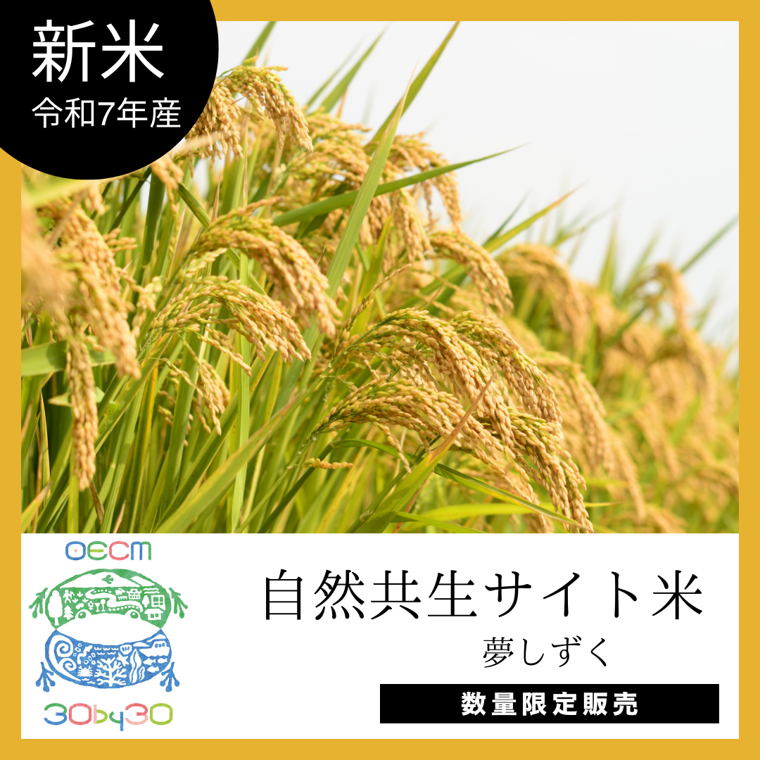 稲作大百科 全5巻セット 農文協 稲作大百科 全5巻セット 農文協