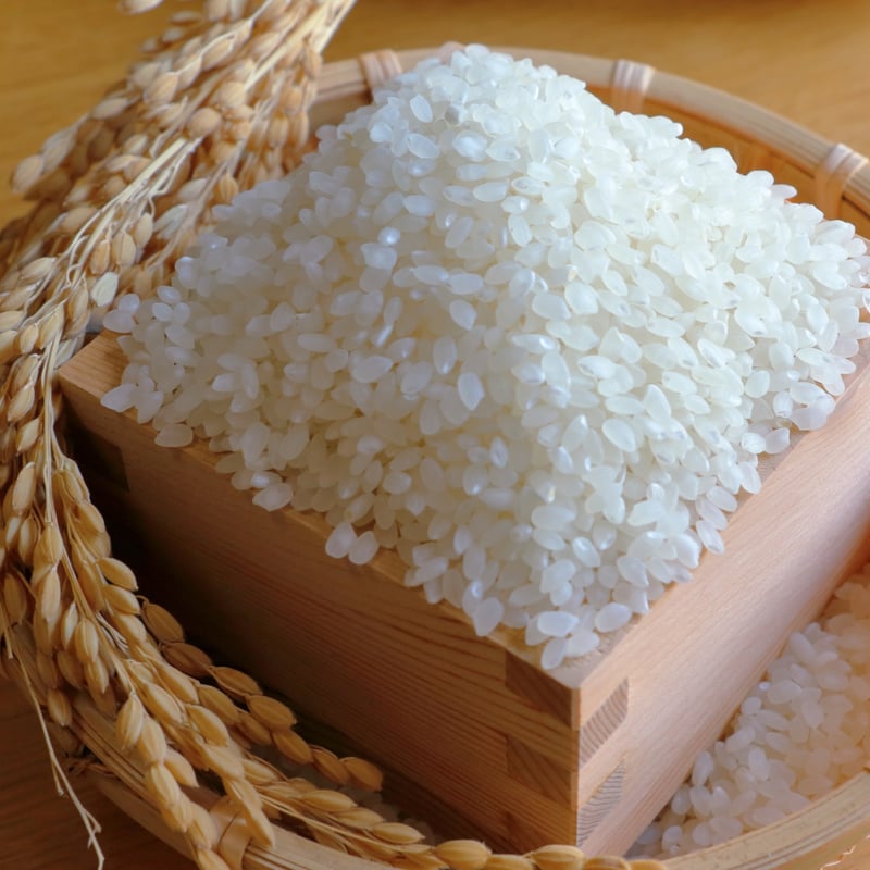 米ちゃん 令和7年産 新米 自然共生サイト米 | 横枕農園