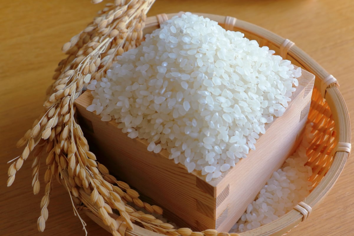 7年度産白米 白米】令和7年度産 / 店頭販売されない希少品種・農林22号・農薬・除草