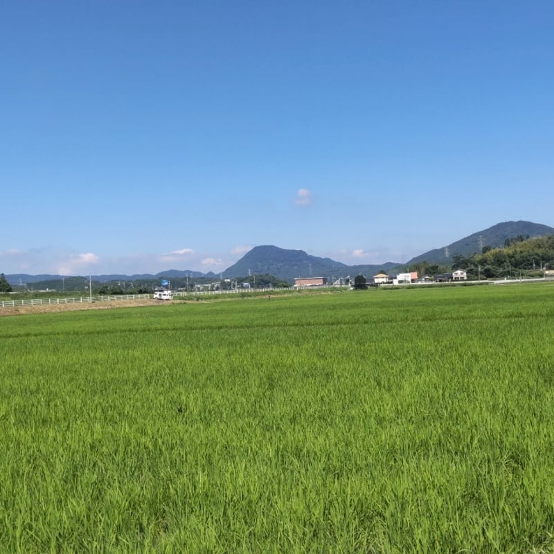 令和7年産 新米 自然共生サイト米 | 横枕農園