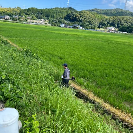【大容量】 令和8年産 新米 自然共生サイト米