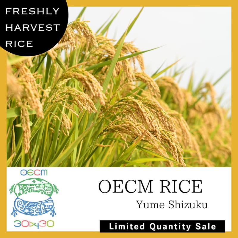 令和7年産 新米 自然共生サイト米 2025 New Harvest 