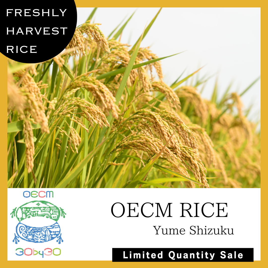 天然ミツロウ　無漂白　山形県産　重さ9,2kg 天然ミツロウ無漂白山形県産重さ9,2kg