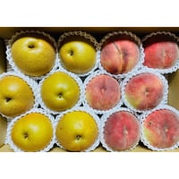 【ご家庭用】桃（さくら白桃）と梨（豊水）のセット　合計12玉前後(5kg)