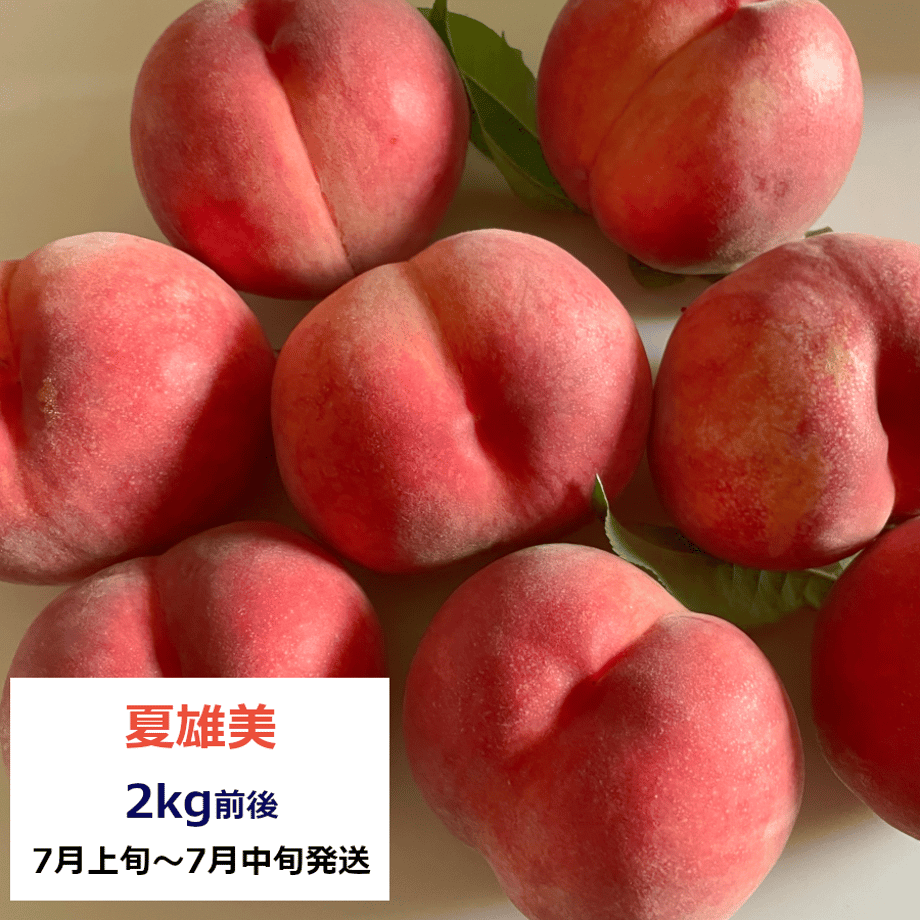 667ea63fd70f8c0577b37480