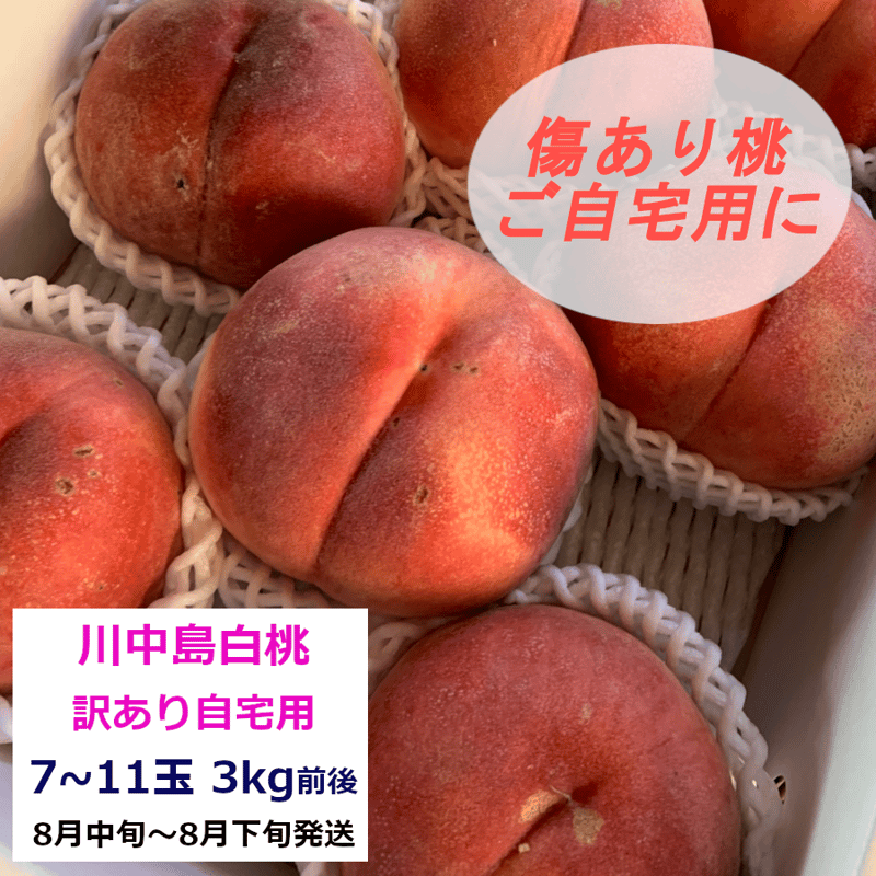 【売りつくし３kg２箱まとめ売り】訳あり川中島白桃!! 訳あり桃『川中島白桃』 7～11玉(3kg前後) | やなぎさわ農園 果