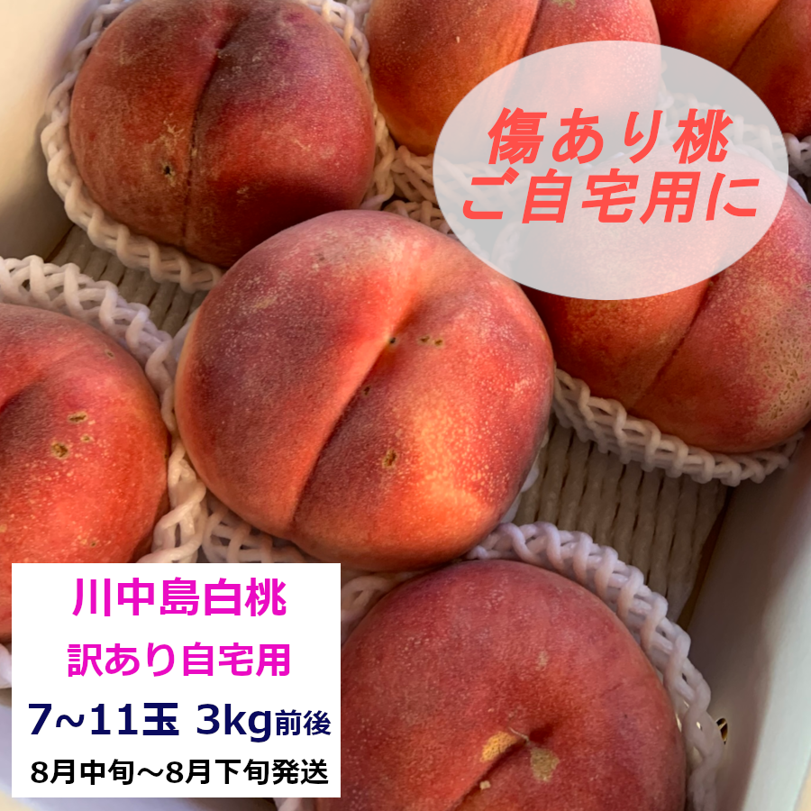 訳あり桃『川中島白桃』 7～11玉(3kg前後) | やなぎさわ農園 果