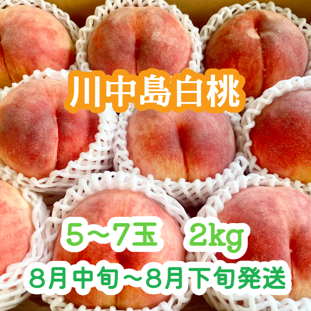 桃『川中島白桃』 大玉5～7玉(2kg前後) | やなぎさわ農園 果逢（KAHOU）