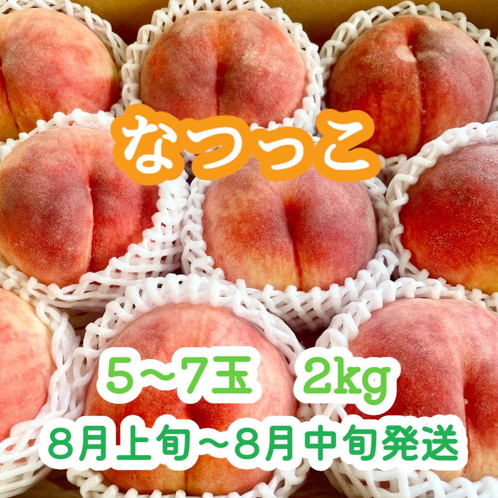 桃『なつっこ』 大玉5～7玉(2kg前後) | やなぎさわ農園 果逢（KAHOU）