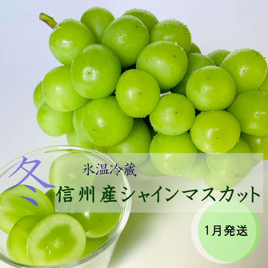 1月発送 冷蔵シャインマスカット1房(600g以上) | やなぎさわ 1月発送 冷蔵シャインマスカット1房(600g以上) | やなぎさわ