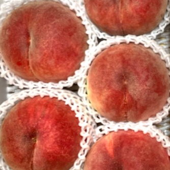 9月発送の桃『さくら白桃』 大玉7～10玉(3kg前後) | やなぎさわ農園 果