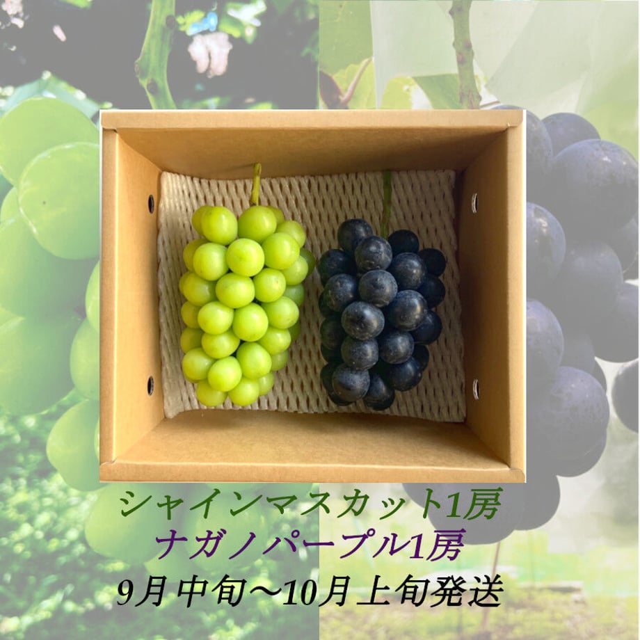 62a73e899a70621727c490d0