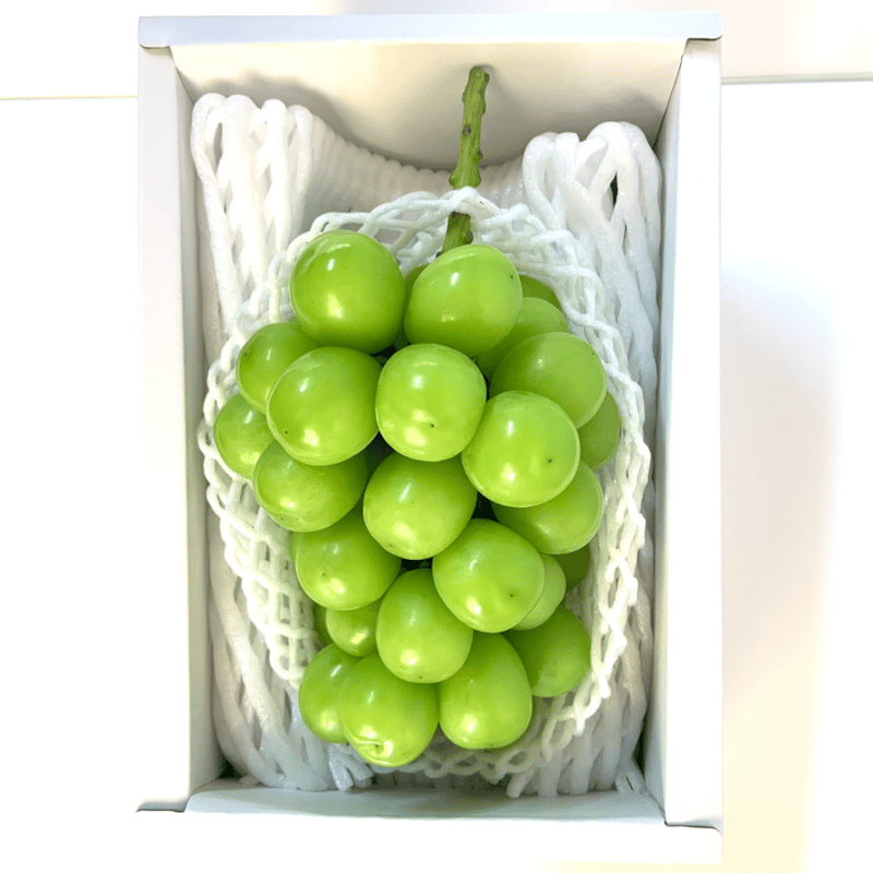 1月発送 冷蔵シャインマスカット1房（600g以上） | やなぎさわ農園 果