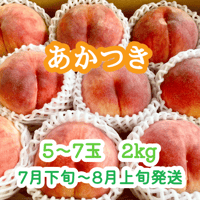 kaoruさん専用　数量限定　大　桃　川中島　ワケあり　規格外　2箱 桃『川中島白桃』 大玉5～7玉(2kg前後) | やなぎさわ農園 果逢（KAHOU）