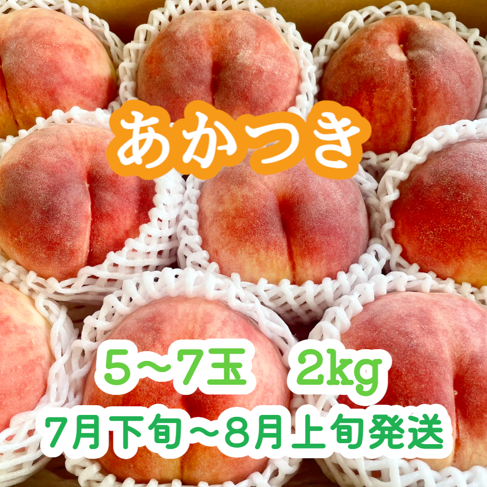 桃『あかつき』 大玉5～7玉(2kg前後) | やなぎさわ農園 果逢（KAHOU）