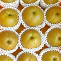 【ご家庭用】梨（豊水）　3kg8玉前後