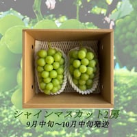 葡萄『ｼｬｲﾝﾏｽｶｯﾄ2房』 &『 ﾅｶﾞﾉﾊﾟｰﾌﾟﾙ1房』合計1.5kg以上 | やなぎ