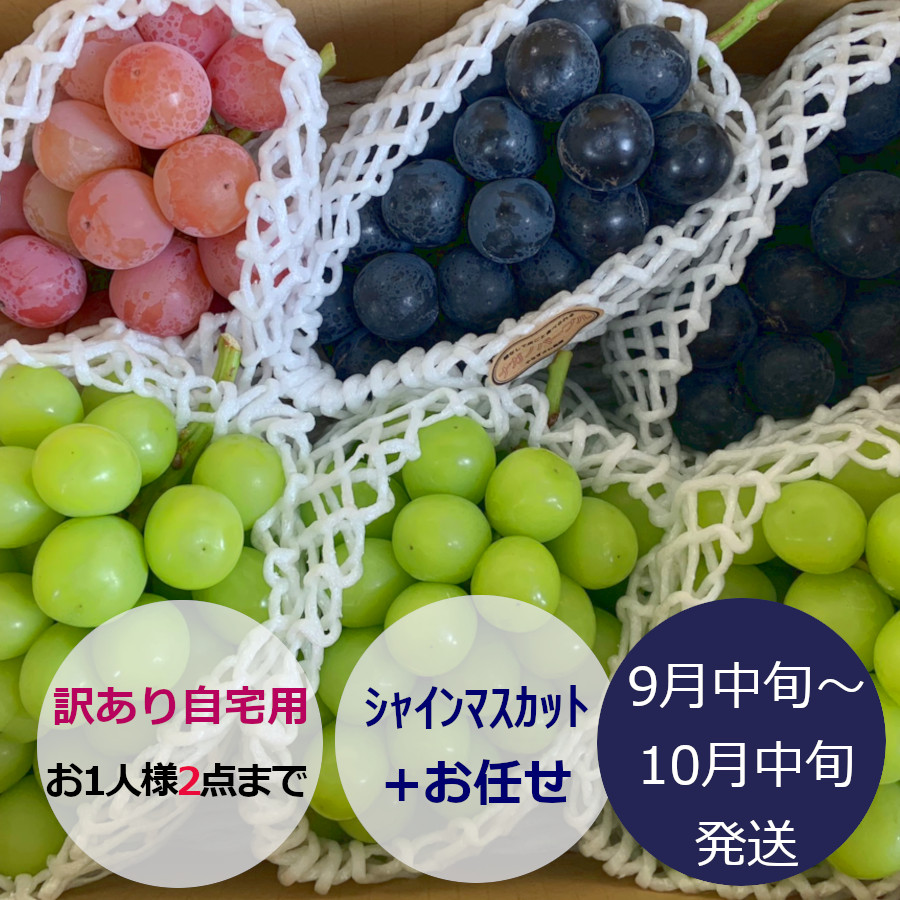 訳あり葡萄『ｼｬｲﾝﾏｽｶｯﾄ』+他 合計3kg前後 | やなぎさわ農園 果逢
