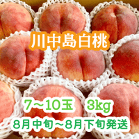 桃『川中島白桃』 大玉5～7玉(2kg前後) | やなぎさわ農園 果逢（KAHOU）