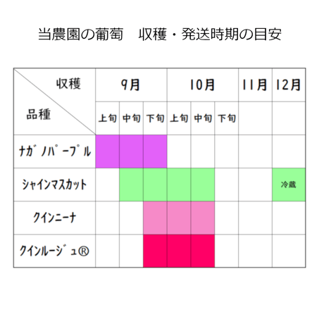 【新発売】葡萄『ｼｬｲﾝﾏｽｶｯﾄ1房』 &『 ｸｲ-ﾝﾙｰｼﾞｭⓇ1房』合計1.0kg以上