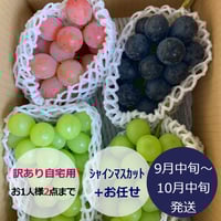 suuシャインマスカット（訳あり）6房 約3kg 訳あり葡萄『ｼｬｲﾝﾏｽｶｯﾄ』+他 合計3kg前後 | やなぎさわ農園 果逢