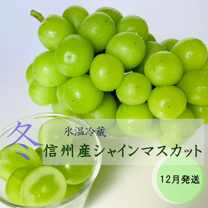 12月発送 冷蔵シャインマスカット1房（600g以上） | やなぎさわ農園