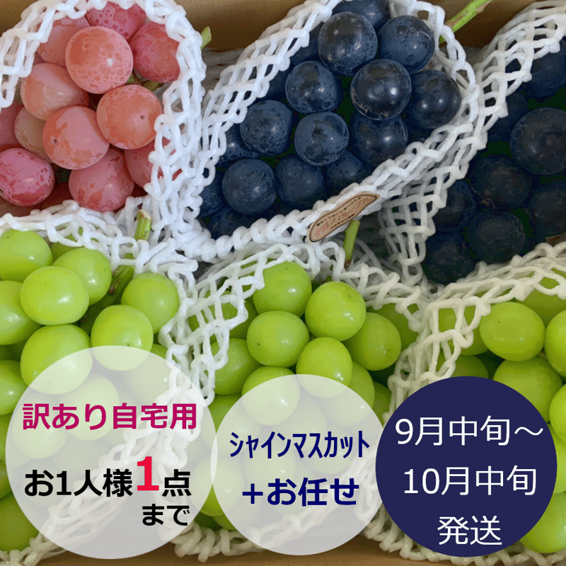 訳あり葡萄『ｼｬｲﾝﾏｽｶｯﾄ』+他 合計3kg前後 | やなぎさわ農園 果逢