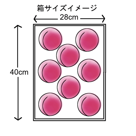 9月発送の桃『さくら白桃』　大玉7～10玉(3kg前後)