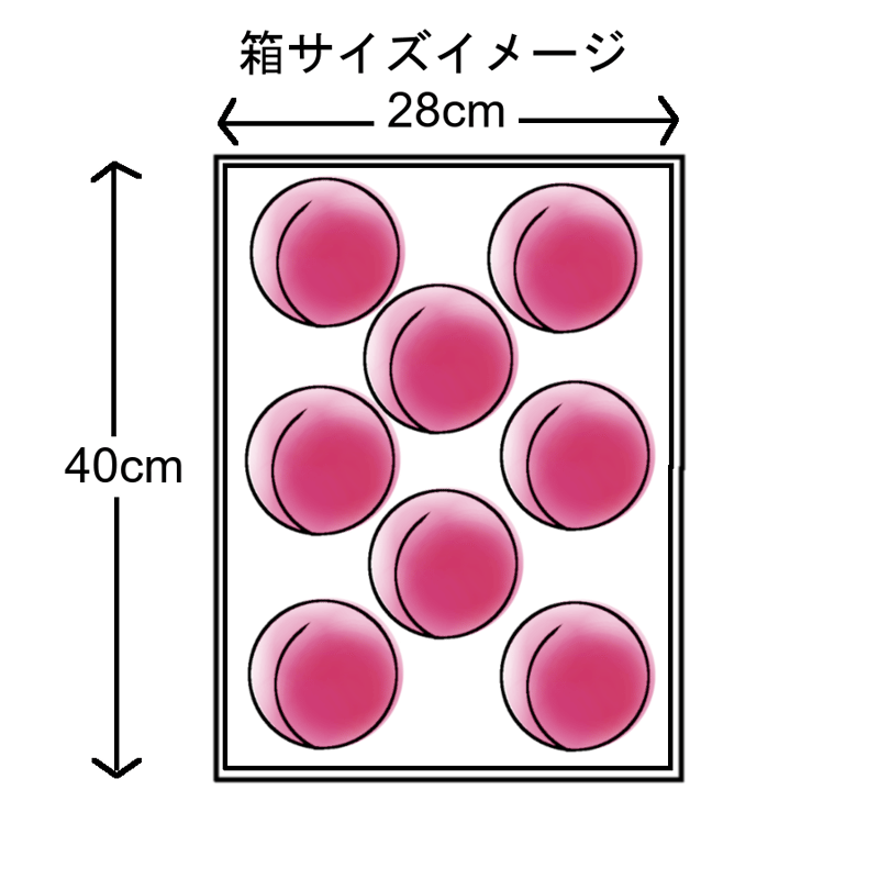 9月発送の桃『さくら白桃』 大玉7～10玉(3kg前後) | やなぎさわ農園 果